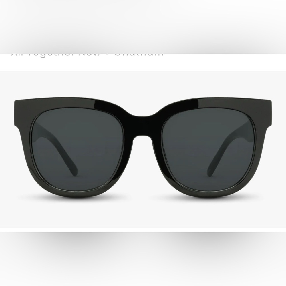 Nectar Chatham Sunglasses, new in box